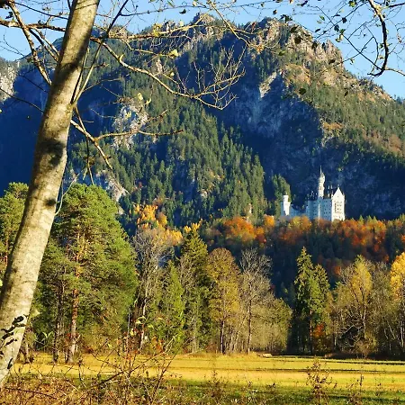 Branderschrofen *
