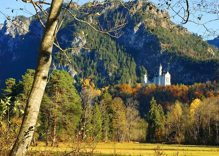 Branderschrofen *